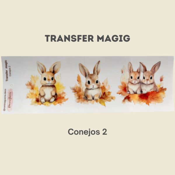 Transfer Magic Conejos 2