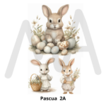 Pascua 2A