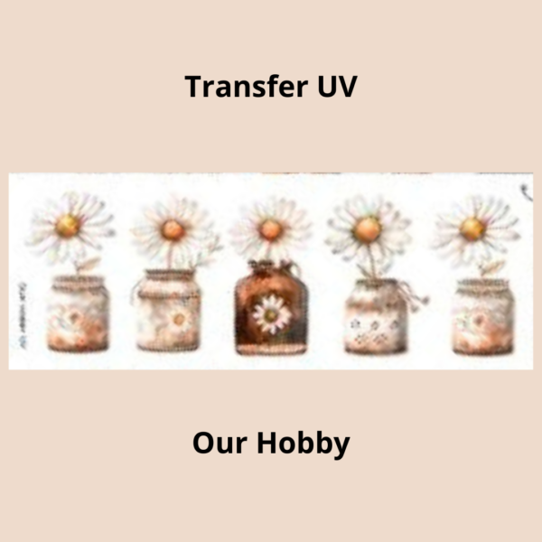 Transfer UV  004