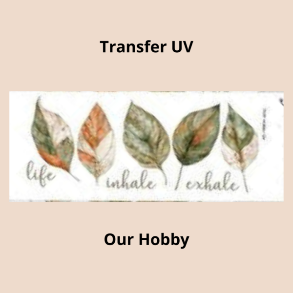 Transfer UV 024