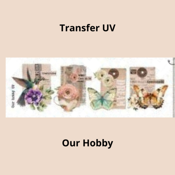 Transfer UV 029