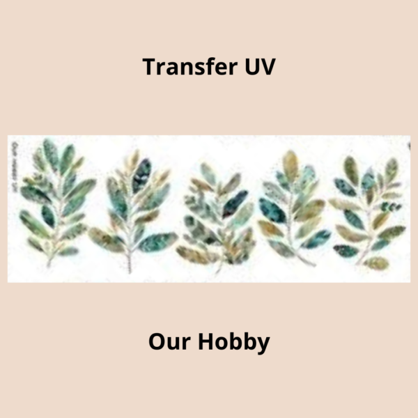 Transfer UV 002