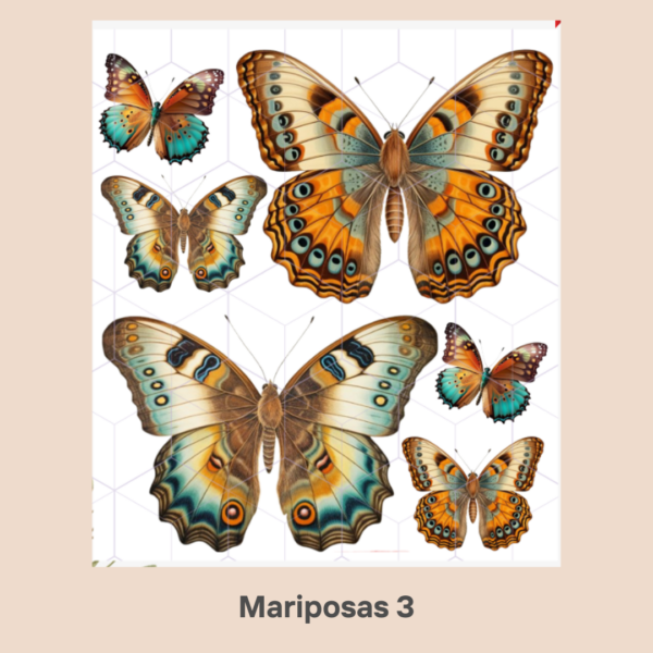 Transfer Termotransferibles Mariposas 3