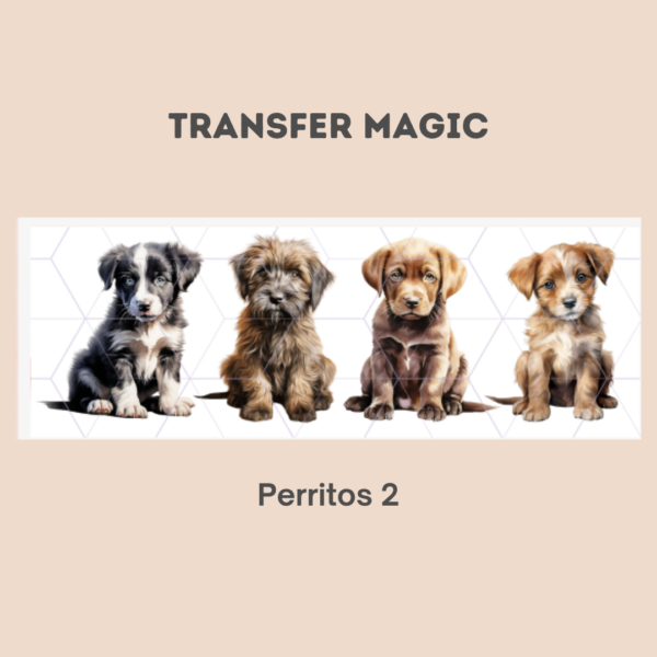 Transfer Magic Perritos 2
