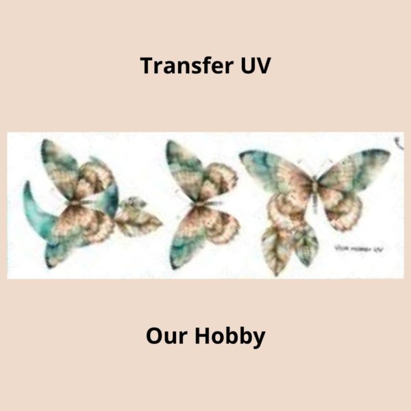 Transfer UV 003