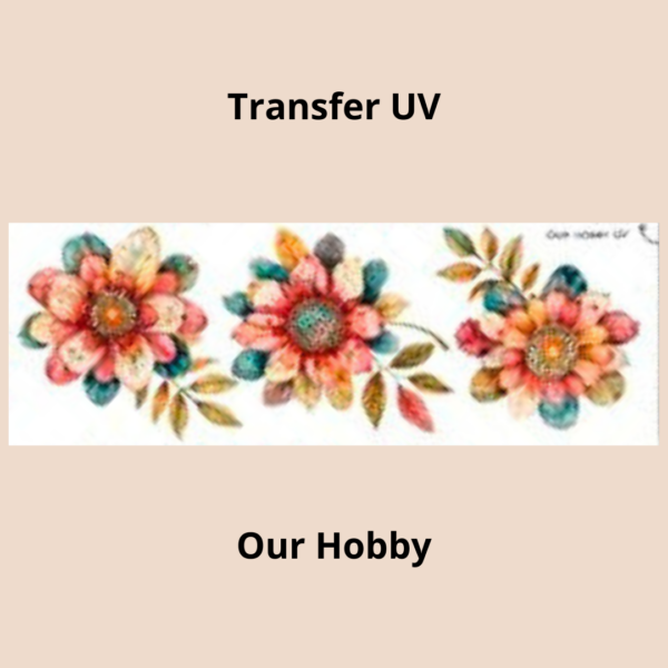 Transfer UV 005