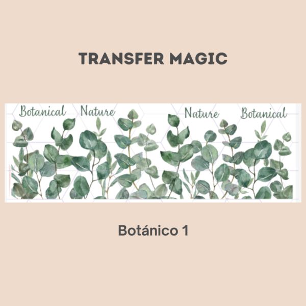 Transfer Magic Botánico 1