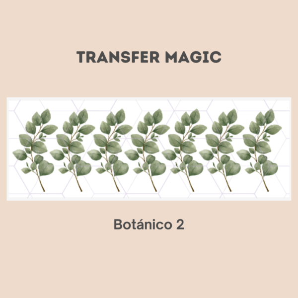 Transfer Magic Botánico 2