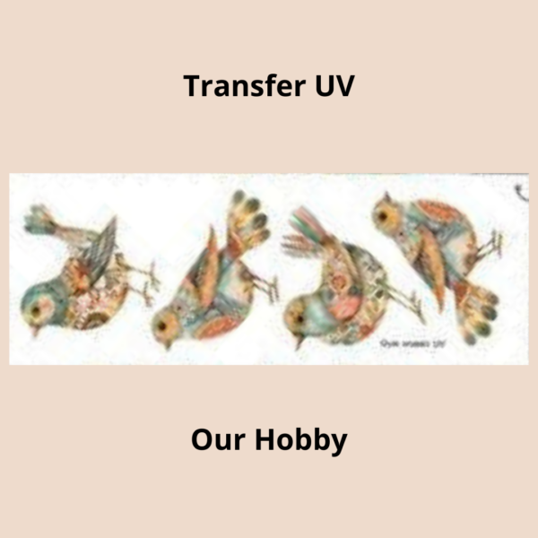 Transfer UV 008
