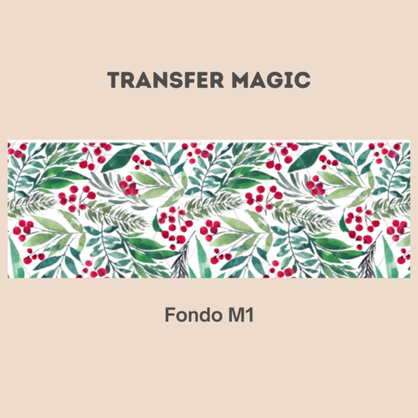 Transfer Magic Fondo M1