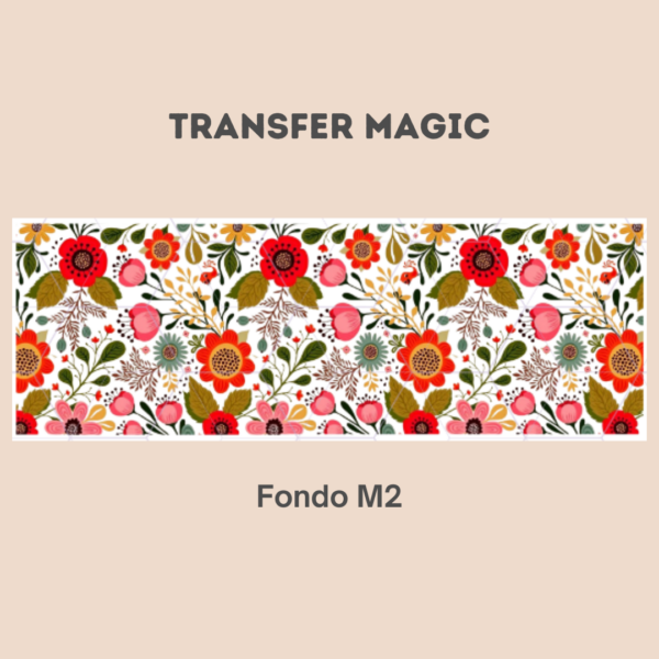 Transfer Magic Fondo M2