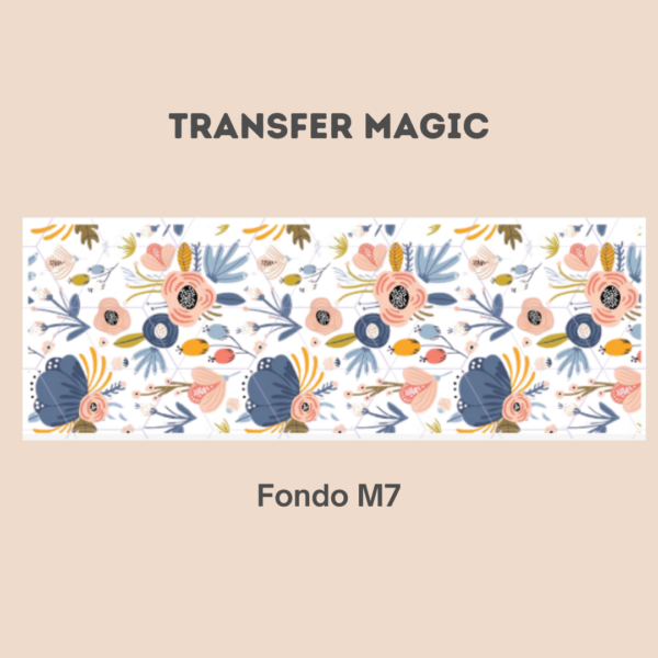 Transfer Magic Fondo M7