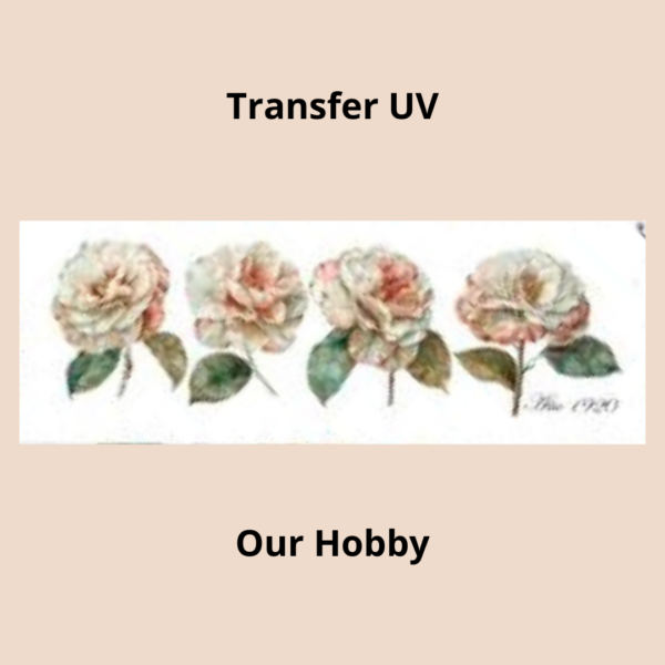 Transfer UV 022