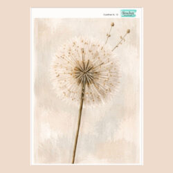 Deco Transfer Cuadros XL 10
